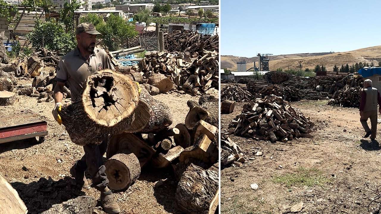 Siirt'te Sobalık Odun Alacaklar Dikkat! Odun Fiyatlarına Zam Geldi