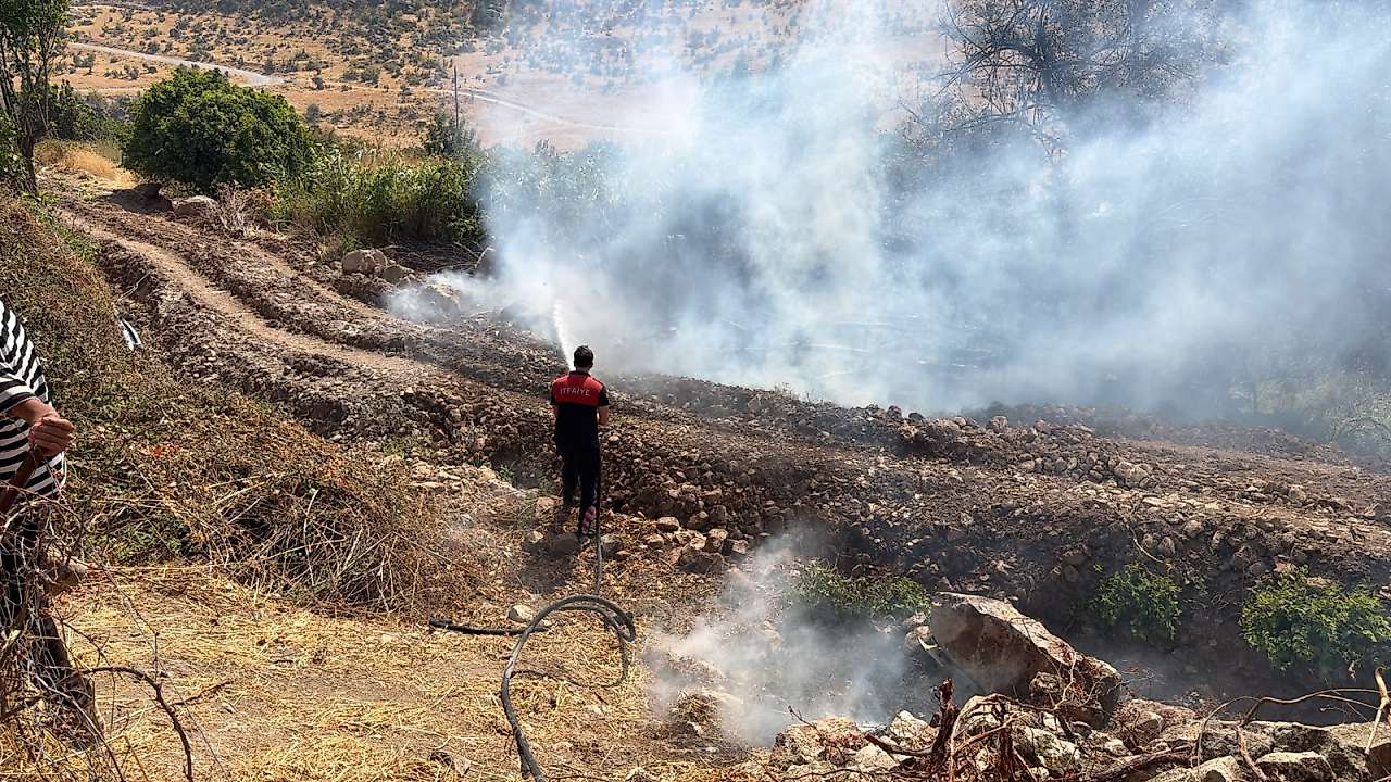 Ekipler Zarova'da çıkan yangına müdahale ederken