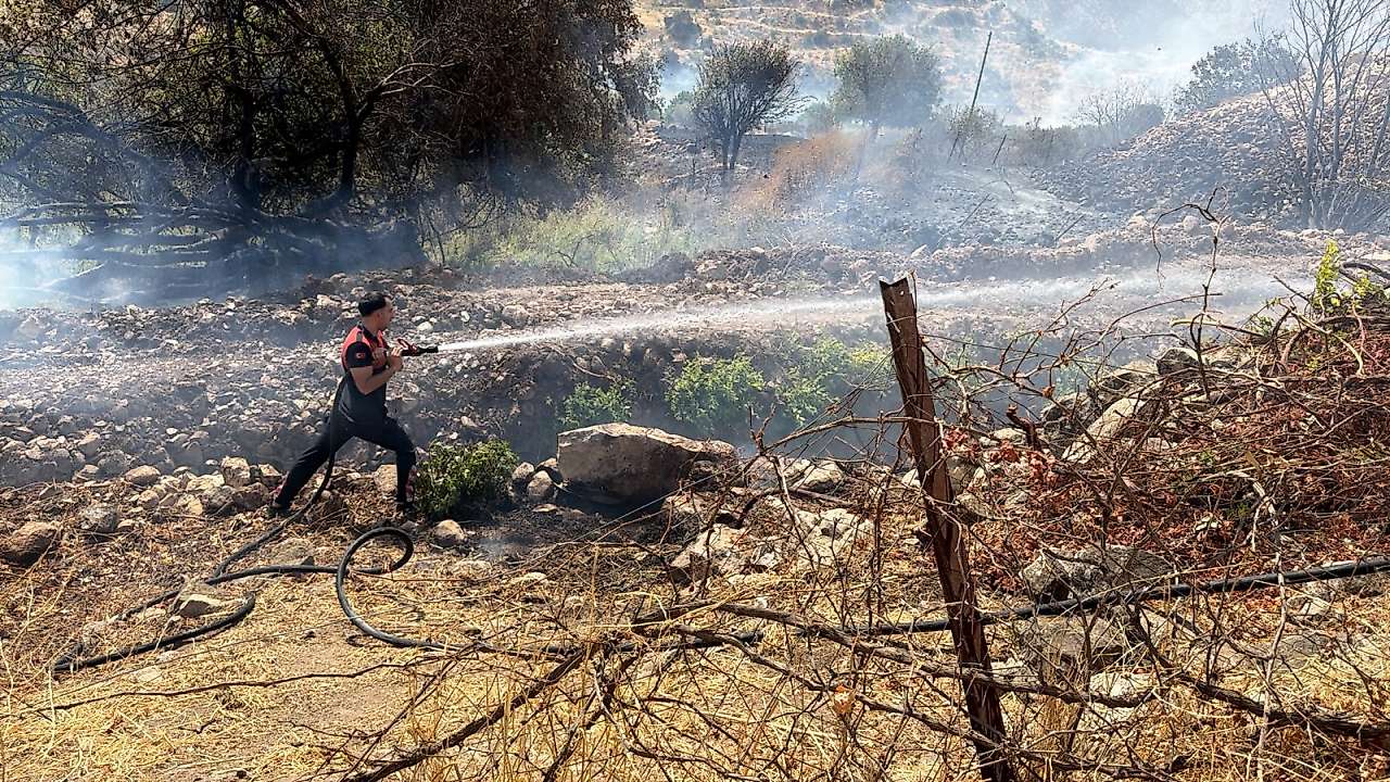 Ekipler Zarova'da çıkan yangına müdahale ederken