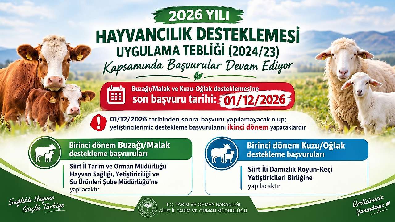 Siirt'te Buzağı ve Kuzu Desteğinde Başvuru Tarihleri Belli Oldu