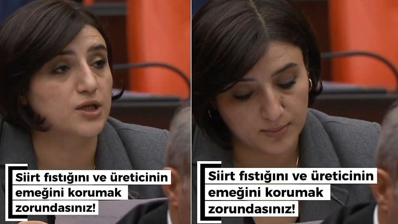 DEM Parti Siirt Milletvekili Sabahat Erdoğan Sarıtaş