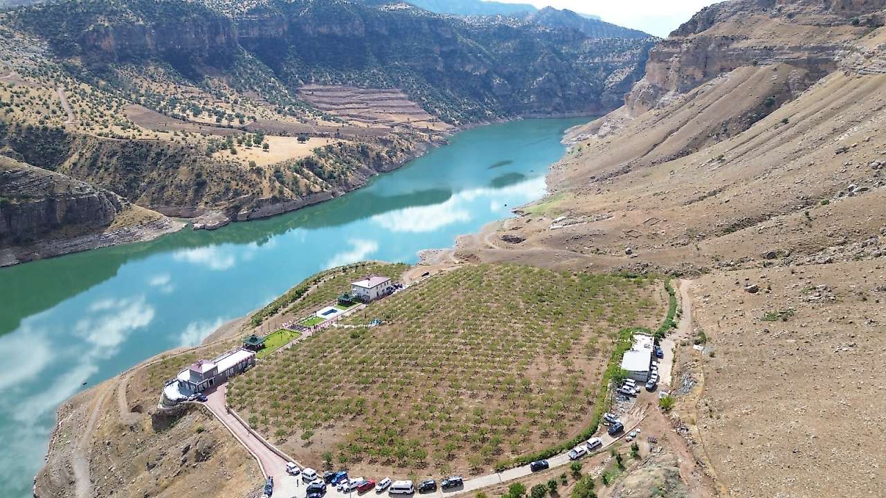 Siirt Fıstığı Festivali'nde hasat heyecanı: Vali Kızılkaya üreticilerle buluştu