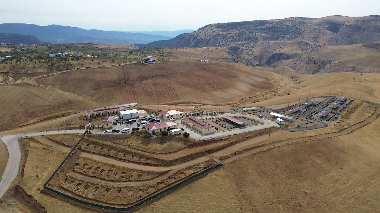 Siirt'te Sokak Hayvanları İçin Örnek Uygulama: Gıda Atıkları Mamaya Dönüştürülüyor