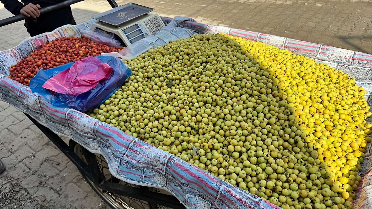 Siirt'te alıç tezgâhlarda: Kilosu 100-150 TL arasında