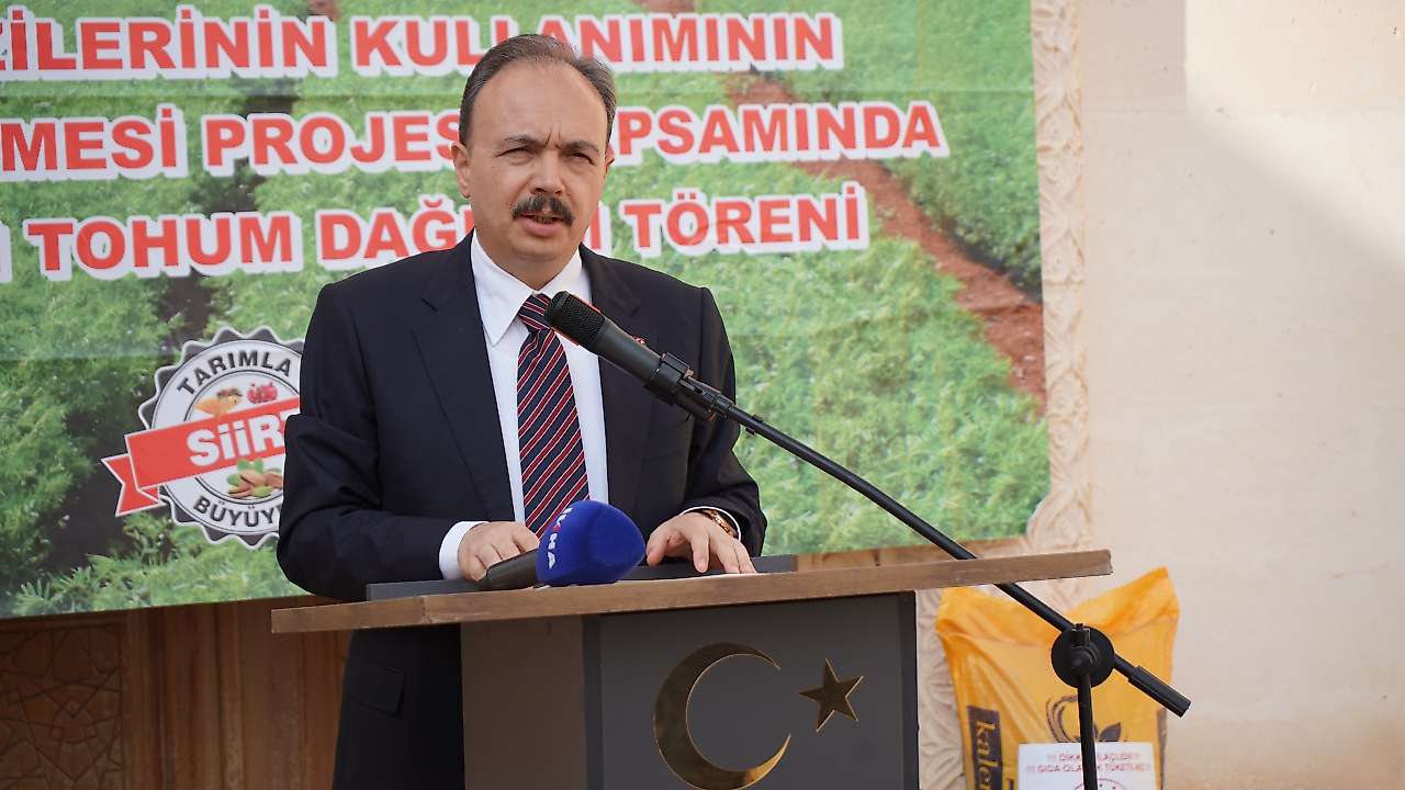 Siirt'te 600 Çiftçiye 176 Ton Sertifikalı Kırmızı Mercimek Tohumu Desteği