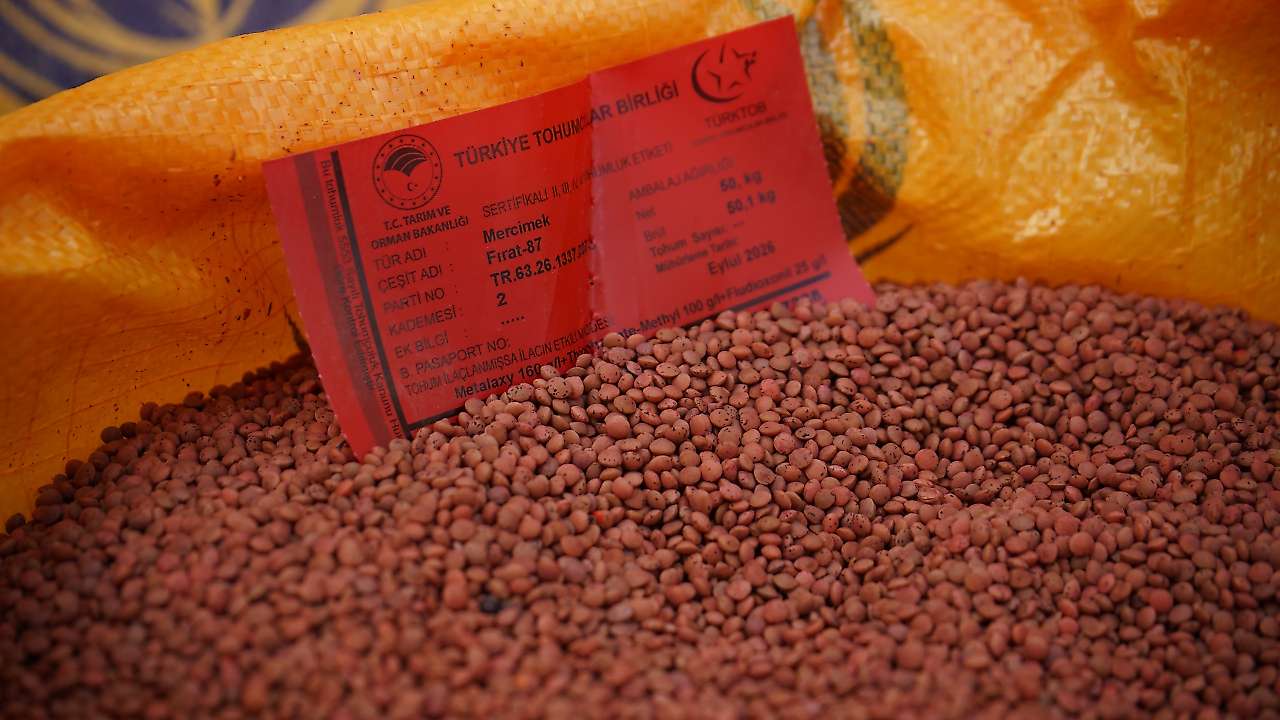Siirt'te 600 Çiftçiye 176 Ton Sertifikalı Kırmızı Mercimek Tohumu Desteği