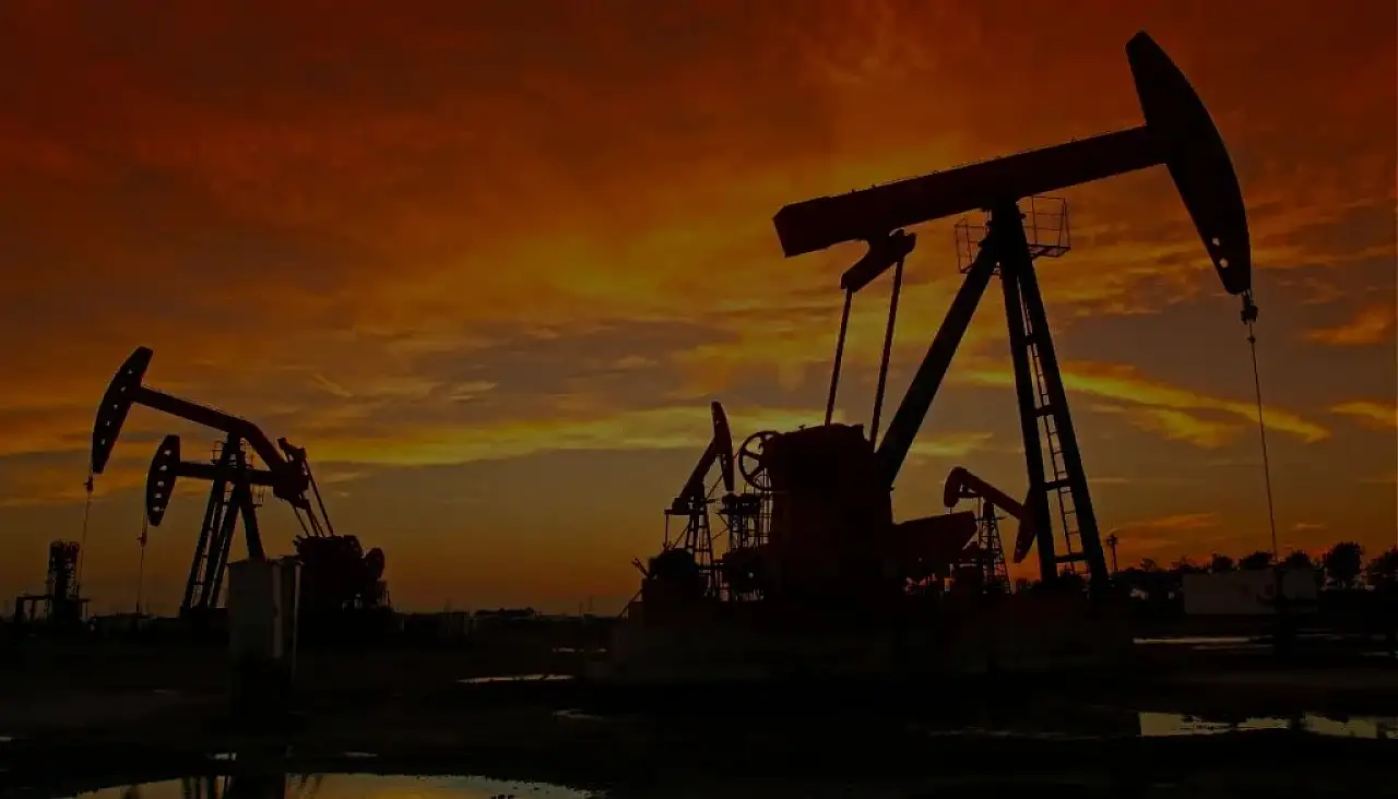 TPAO'nun Bitlis ve Siirt'teki petrol arama ruhsatı 2 yıl uzatıldı