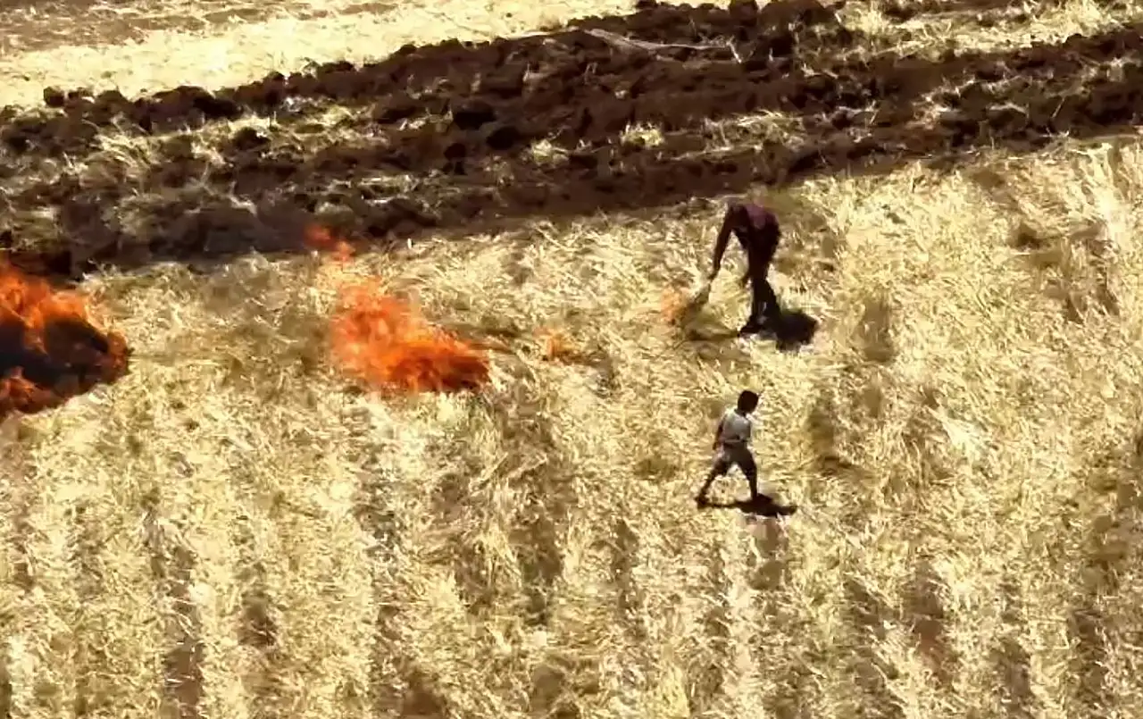 Anız yakanlar drone ile tespit edildi.