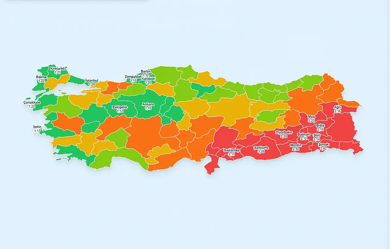 Türkiye'nin Aralık Ayı Doğurganlık Haritası Açıklandı: Siirt İlk 10'da Yer Aldı