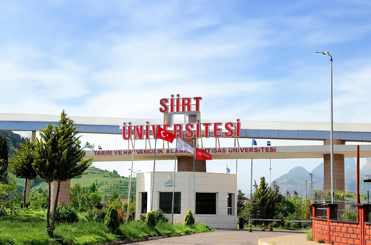 Siirt Üniversitesi Matematikte Zirveye Yükseldi: Türkiye'de İlk 3'te