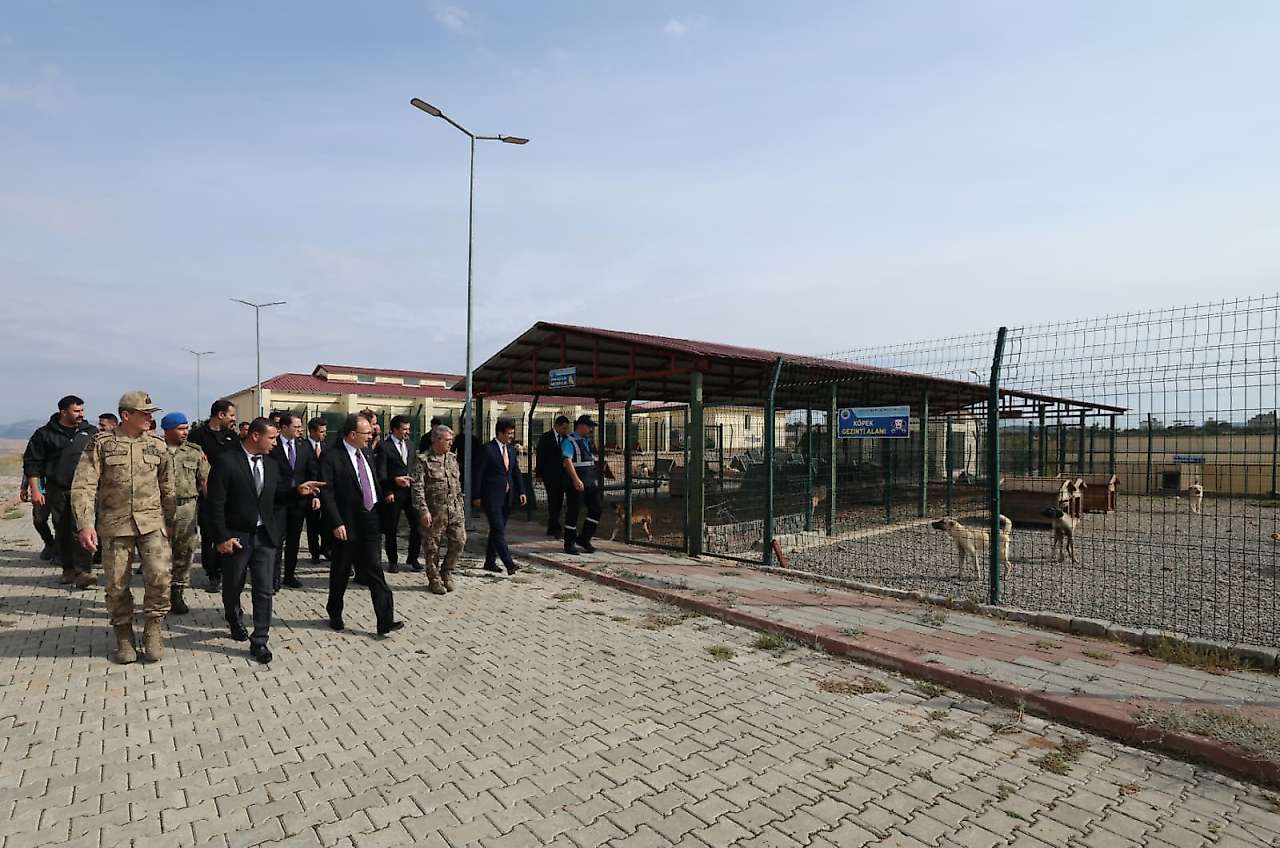 Siirt'te Sokak Hayvanları İçin Örnek Uygulama: Gıda Atıkları Mamaya Dönüştürülüyor