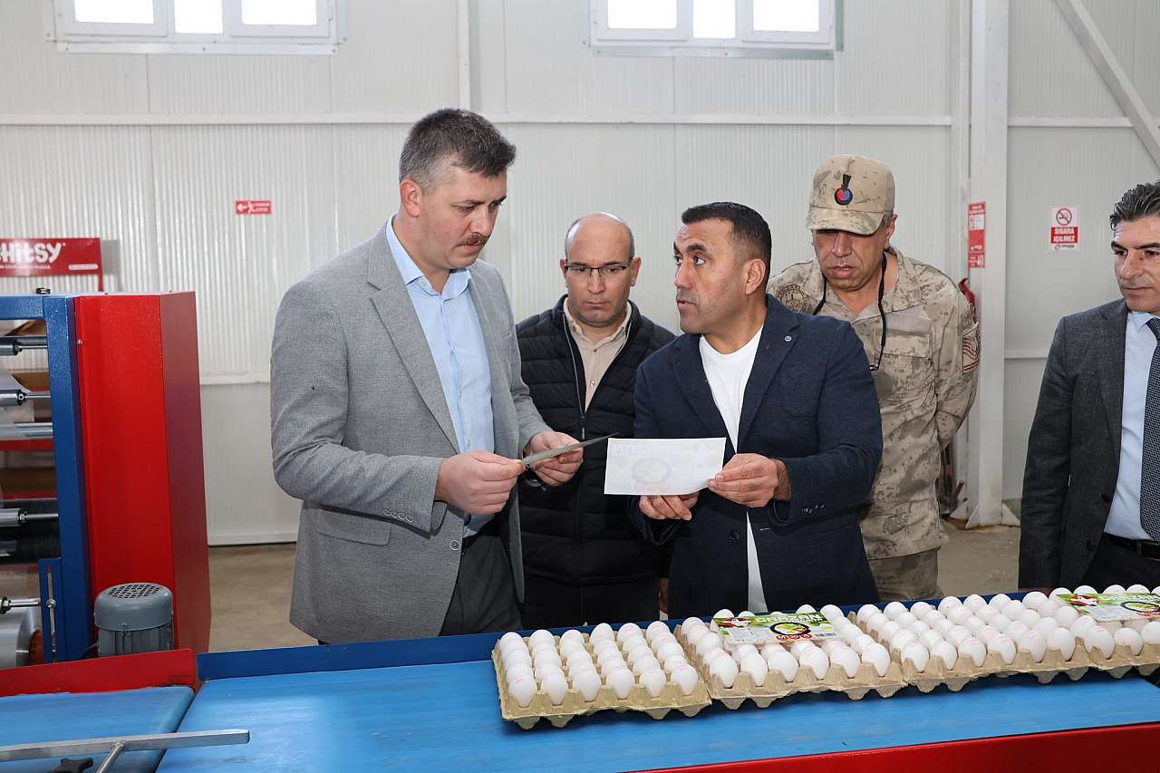 Batman'ın Yumurta İhtiyacını Siirt Karşılıyor