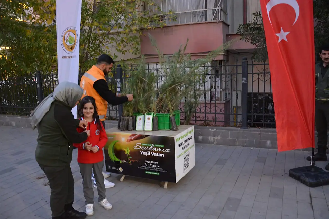 Siirt Orman İşletme Müdürlüğü'nden 'Yeşil Vatan' Seferberliği: Fidan Sahiplenme Noktası Kuruldu