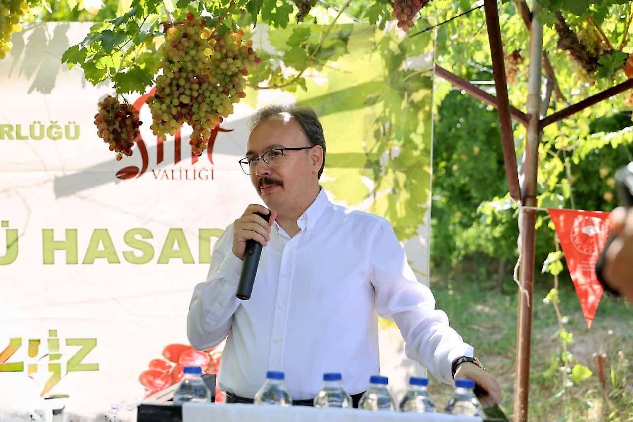 Siirt'te Tayfi Üzümü Hasadı Başladı: Hedef Türkiye'de İlk 5'e Girmek