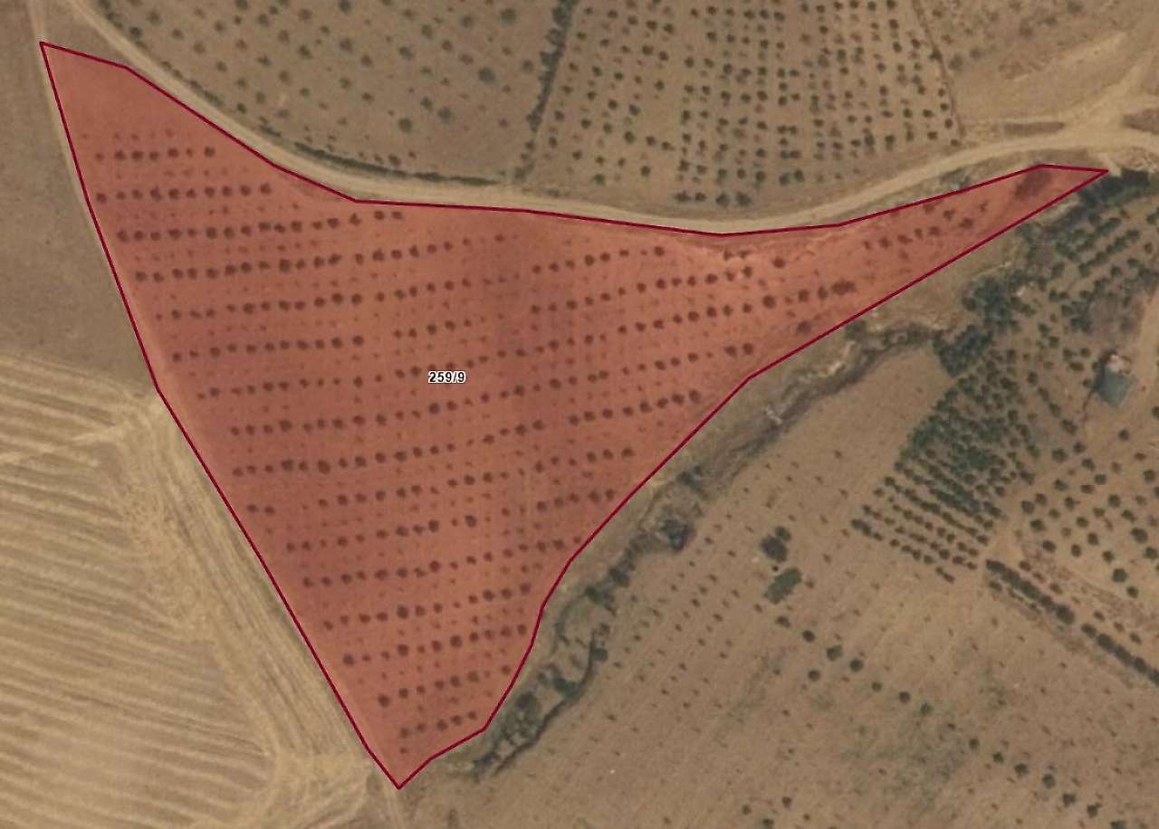 Siirt Baykan'da 14 Bin Metrekarelik Bağ İcradan Satışa Çıkarıldı