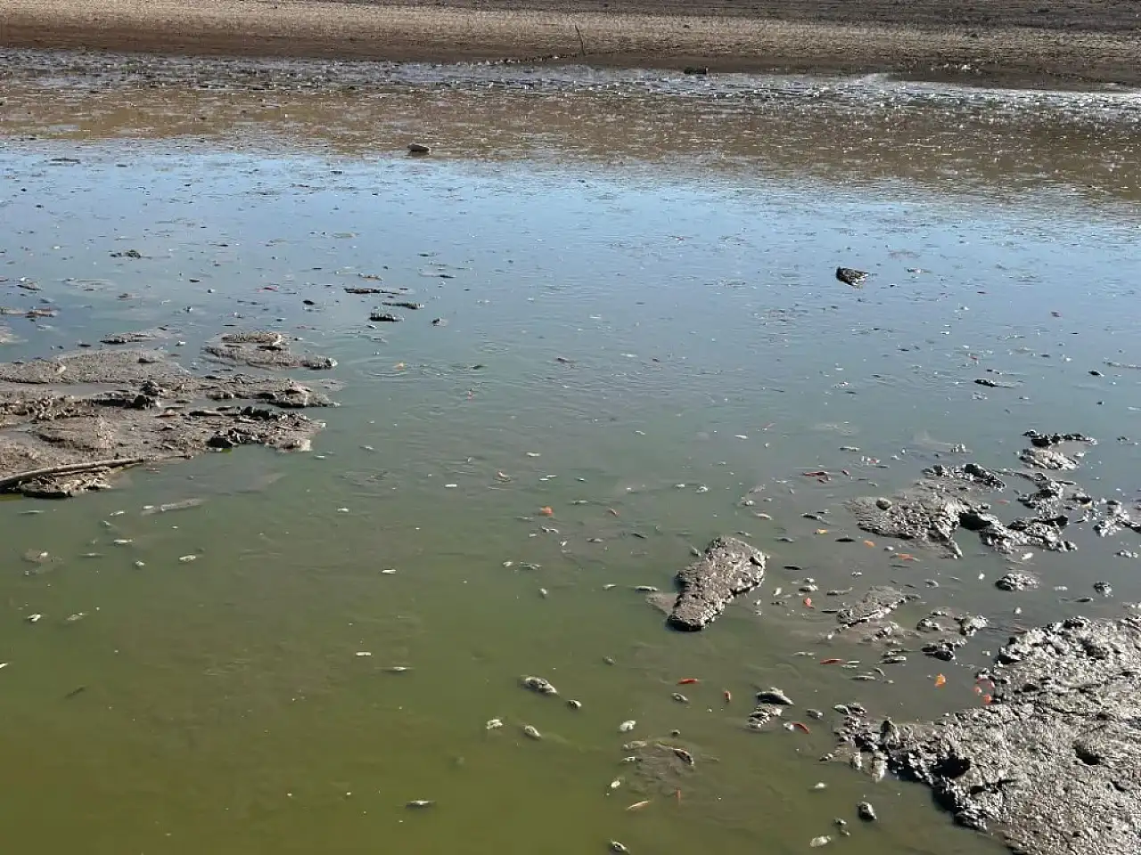 Su Takviyesi Yetersiz Kaldı: Çayırlı Göleti Kuruma Riski Altında