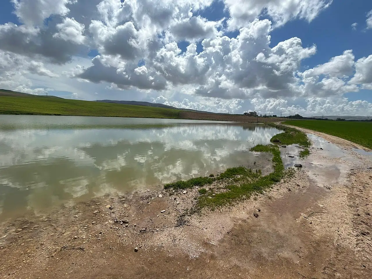 Siirt'te Kuraklıkta Tankerlerle Yaşatılan Gölet Yağışlarla Yüzde 100 Doldu
