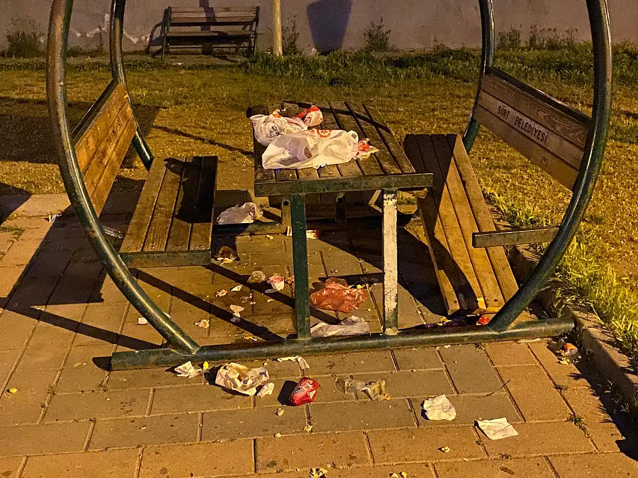 Siirt'te Parkı Çöplüğe Çevirdiler, Kamelyayı Kırdılar: Vatandaşlardan Sert Tepki