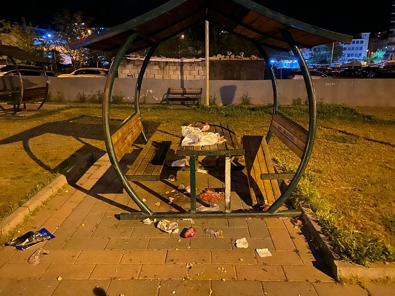Siirt'te Parkı Çöplüğe Çevirdiler, Kamelyayı Kırdılar: Vatandaşlardan Sert Tepki