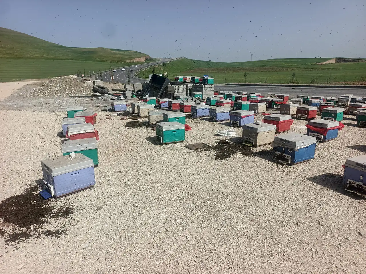 Siirtli Arı Üreticisinin Yüklü Aracı Devrildi: Binlerce Arı Yola Savruldu