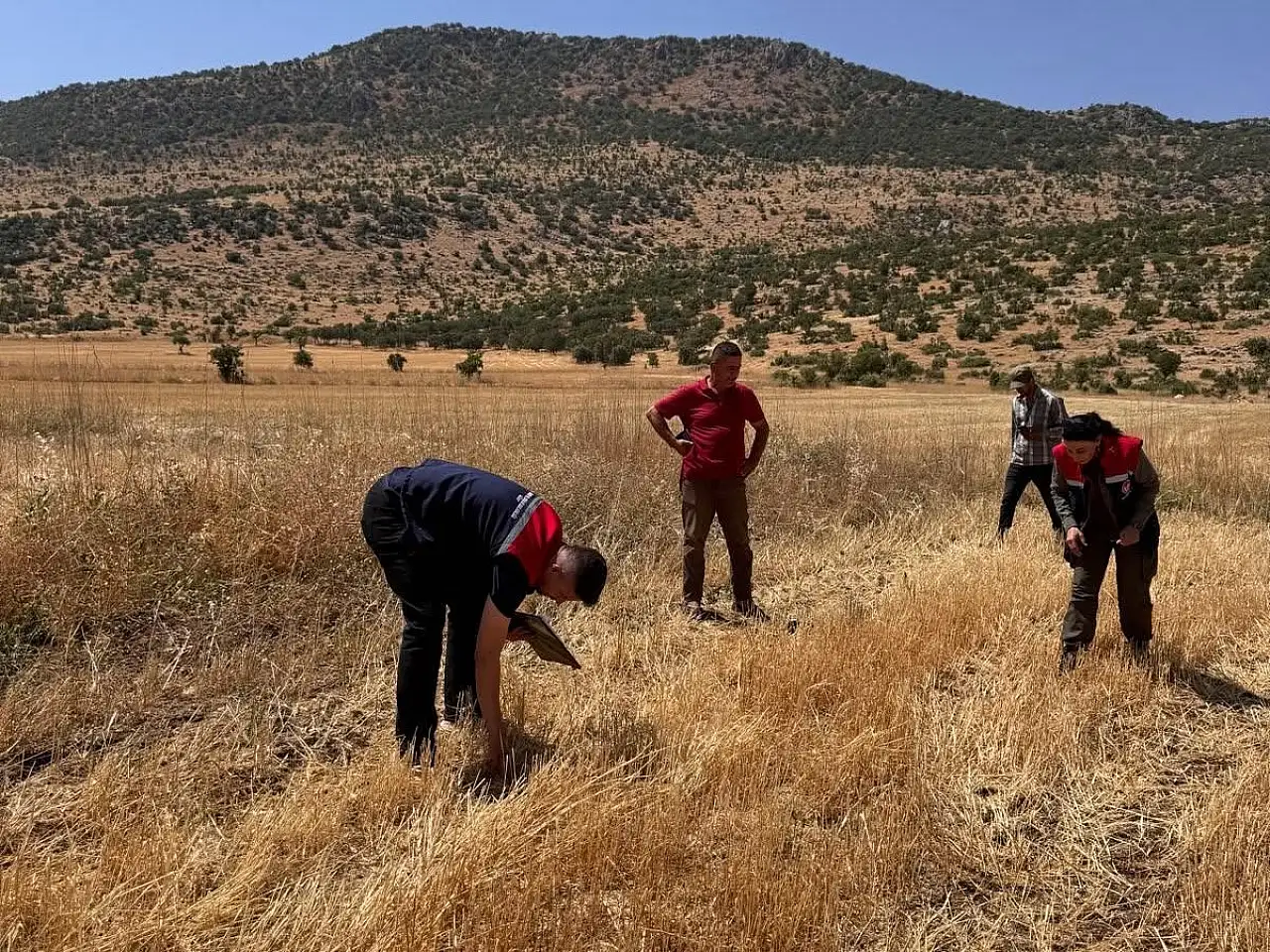Siirt Pervari'de Biçerdöver Denetimleri Başladı