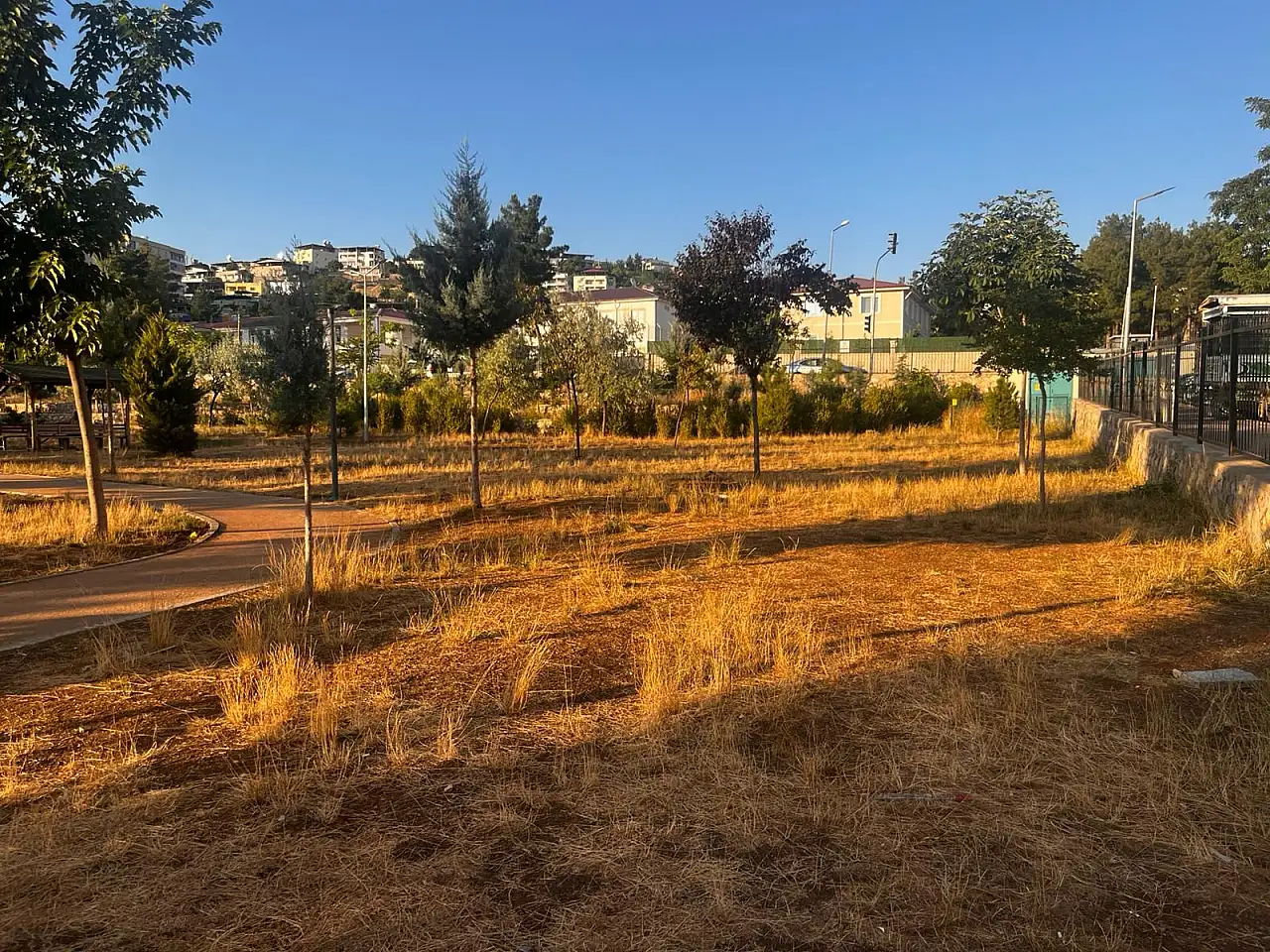 Siirt Millet Bahçesi'nde Çimler Bakımsızlık Nedeniyle Kurudu