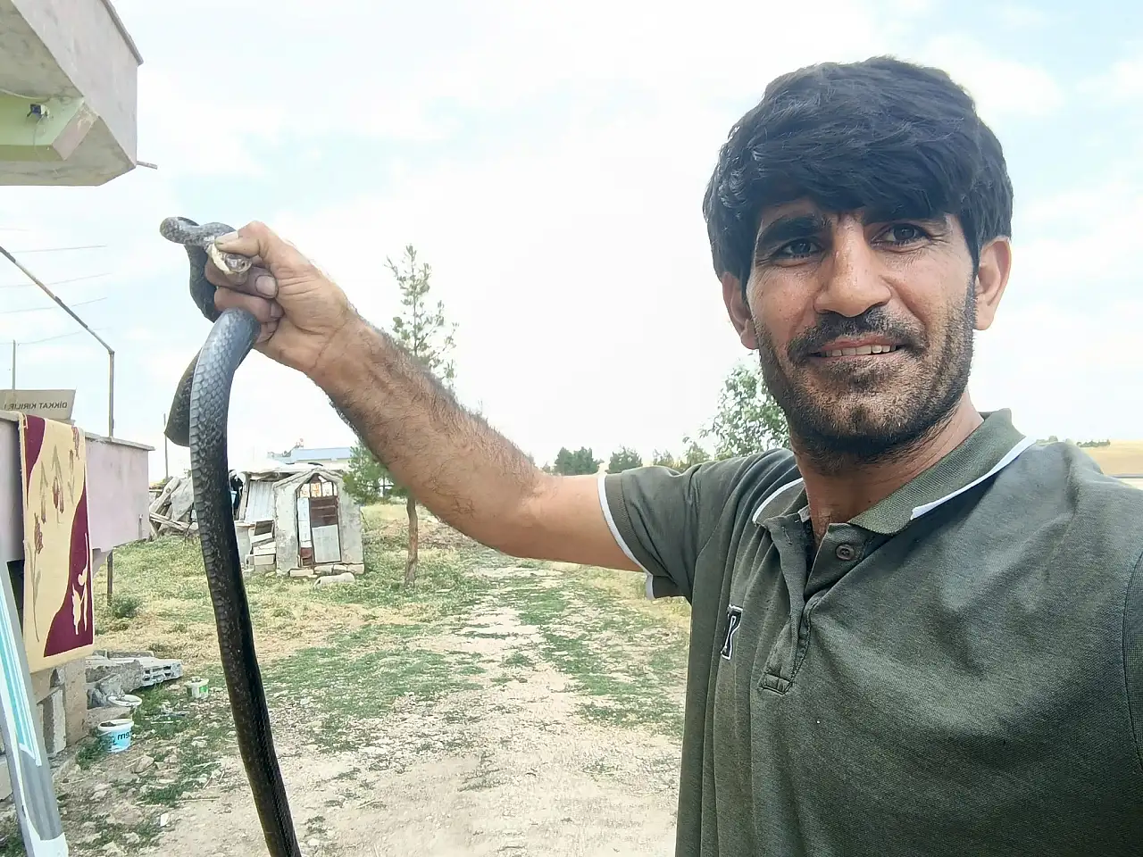 Siirt Kurtalan'da Eve Giren Yılanı Çıplak Elle Yakaladı, Doğaya Bıraktı