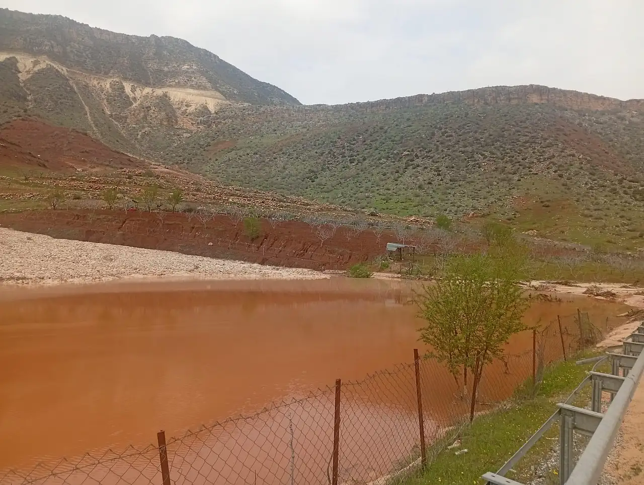 Siirt'te Yoğun Yağış Tarımı Vurdu: Hasar Tespit Çalışmaları Yapıldı