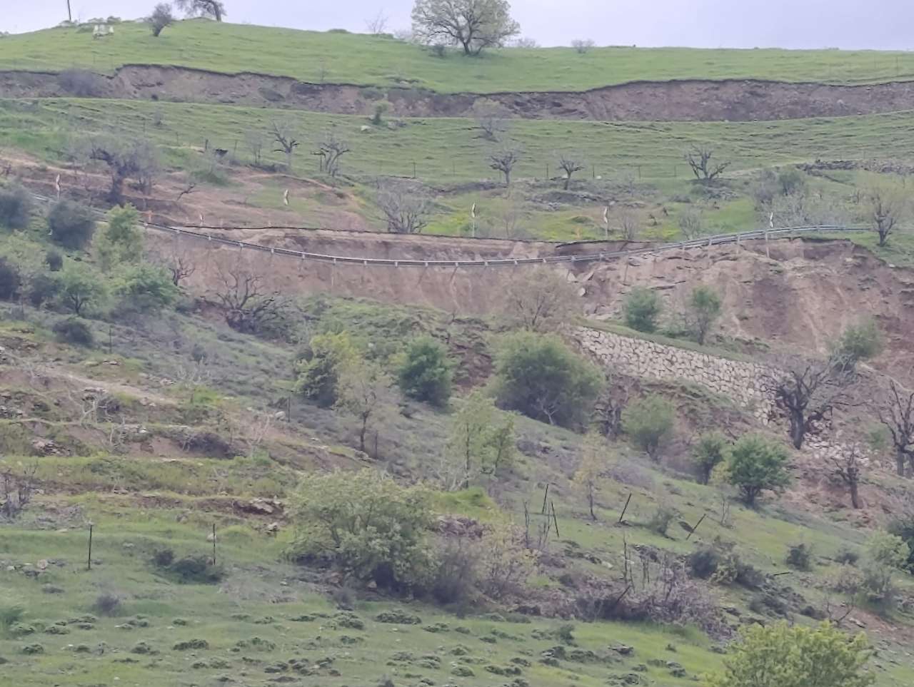 Siirt'te Fıstık Üreticilerine Yol Desteği: Bağ Yollarında Çalışma Sürüyor