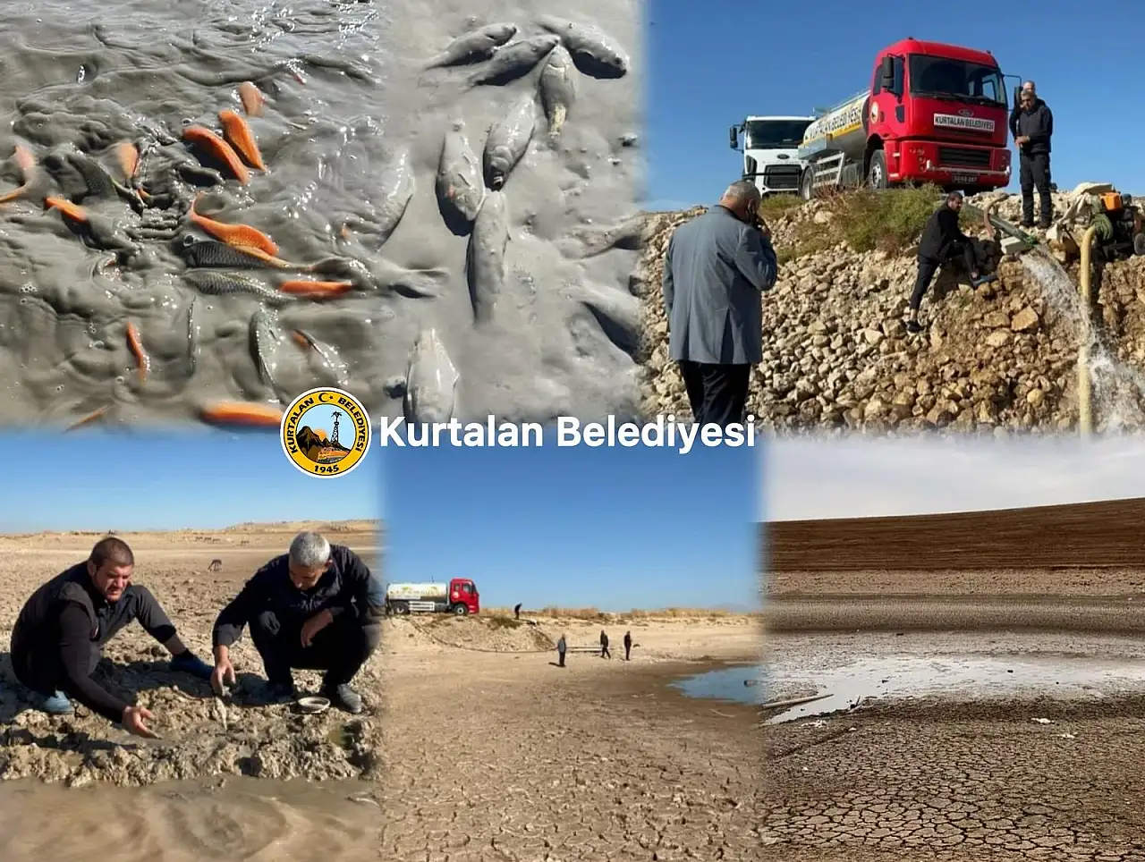 Siirt'te Kuraklıkta Tankerlerle Yaşatılan Gölet Yağışlarla Yüzde 100 Doldu