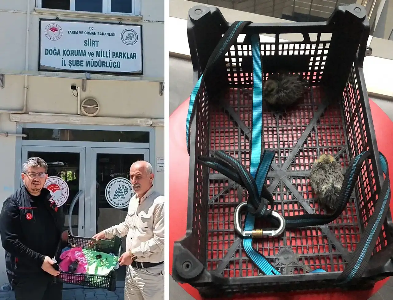 Siirt'te İHH Arama Kurtarma Ekibi Yeni Kütüphanede Mahsur Kalan Yavru Kuşları Kurtardı