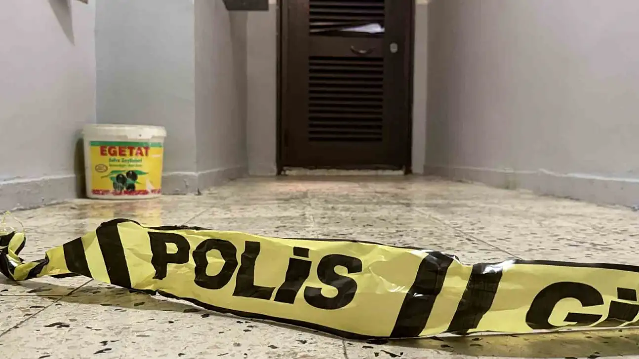 Diyarbakır'da bir şahıs anne ve ağabeyini yataklarında öldürdü