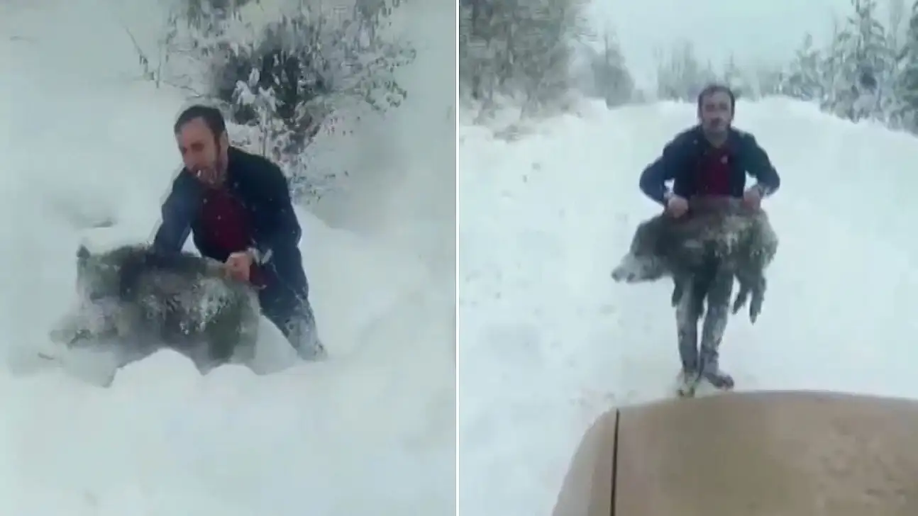 Eliyle domuz yakalayan kişiye 15 bin TL ceza kesildi