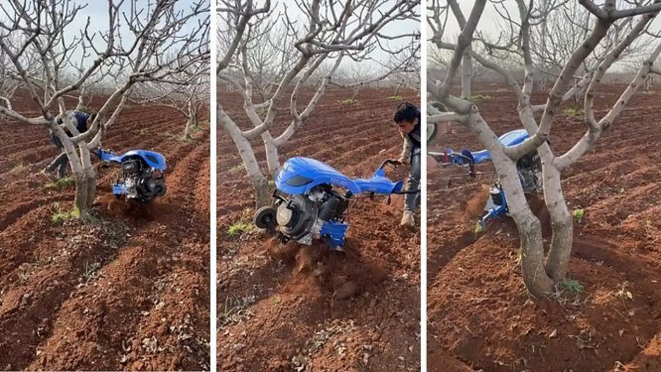 Fıstık üreticilerine Aralık ayında yapılması gerekenler hakkında uyarı yapıldı