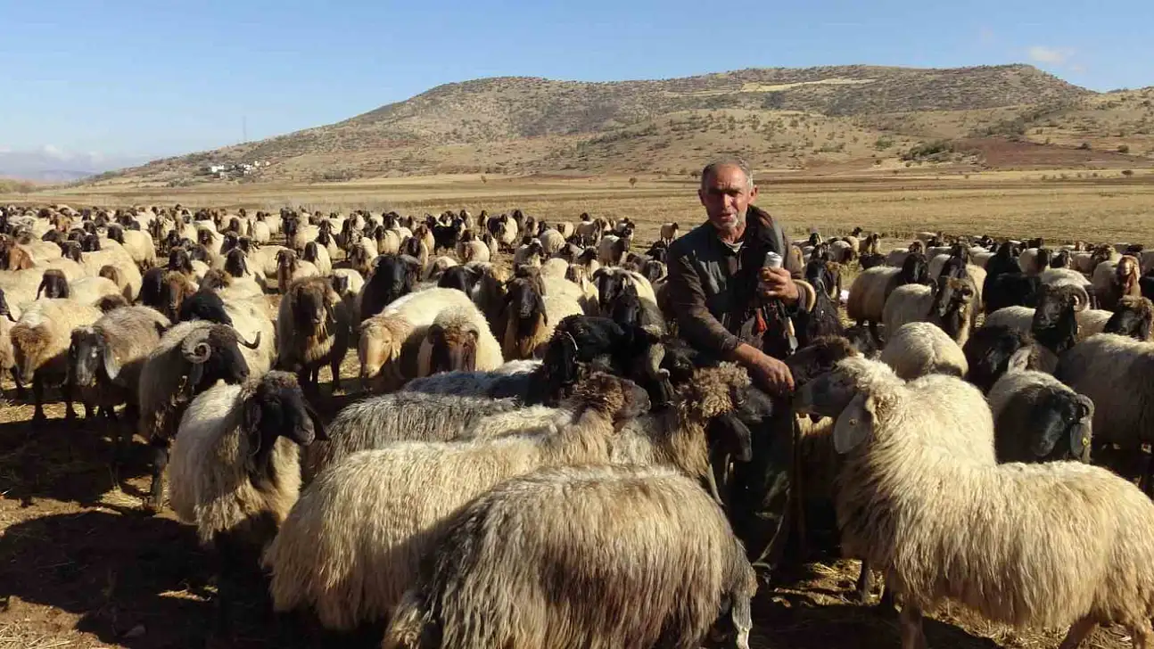 Gercüş'te göçerlerin zorlu yolculuğu