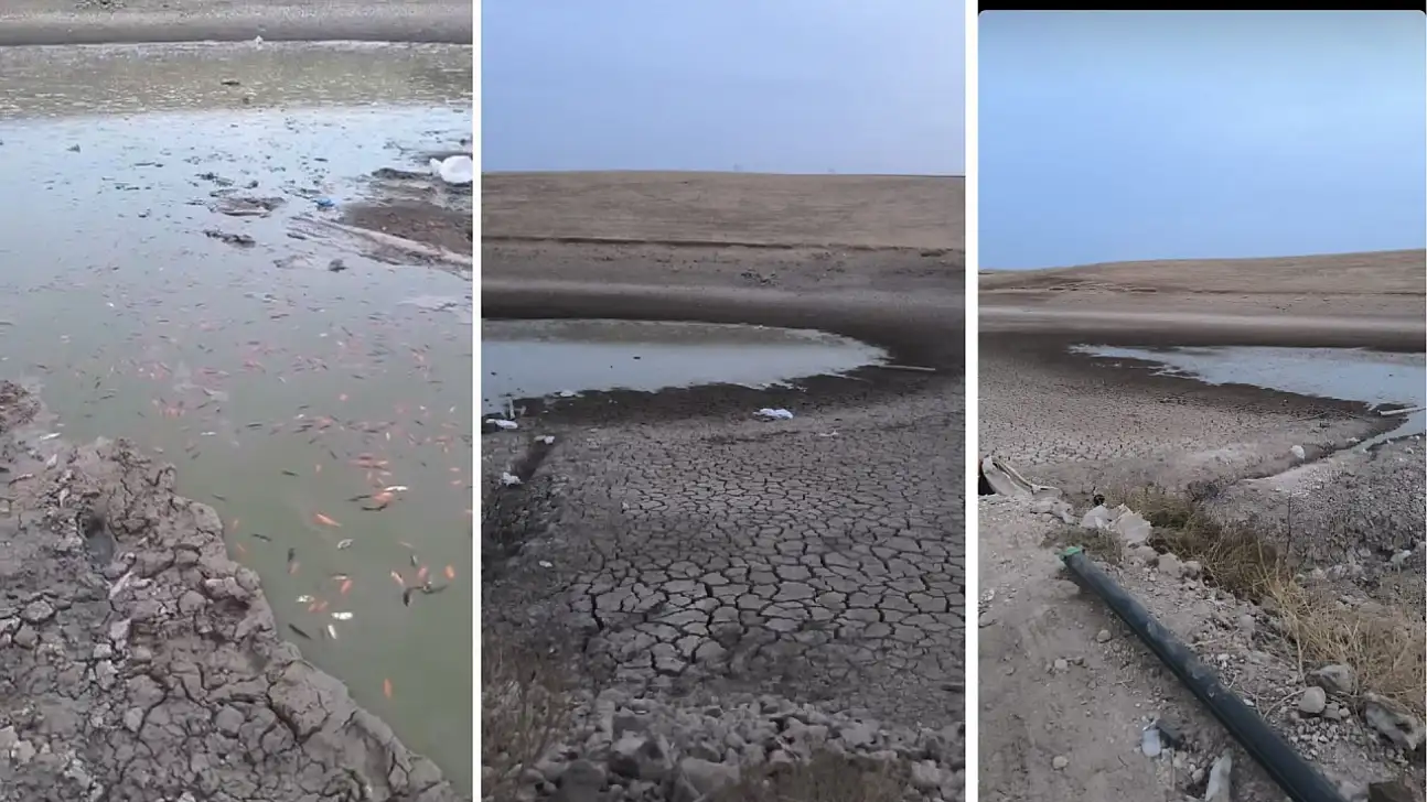 Siirt Kurtalan'da Kuraklık Alarmı: Çayırlı Köyü Gölündeki Balıklar Ölüm Tehlikesiyle Karşı Karşıya