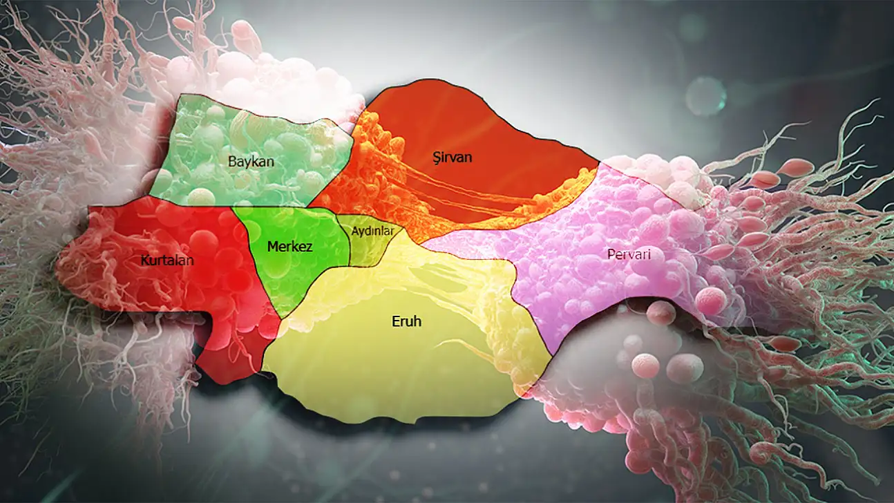 Siirt Listenin En Alt Sırasında! TÜİK 2022 Verileri Açıklandı: Kanser Ölümlerinin En Yüksek ve En Düşük Olduğu İller
