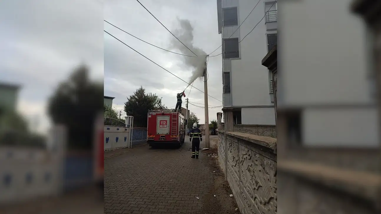 Siirt'te Elektrik Direği Alev Aldı: İtfaiye Ekipleri Yangını Kısa Sürede Söndürdü