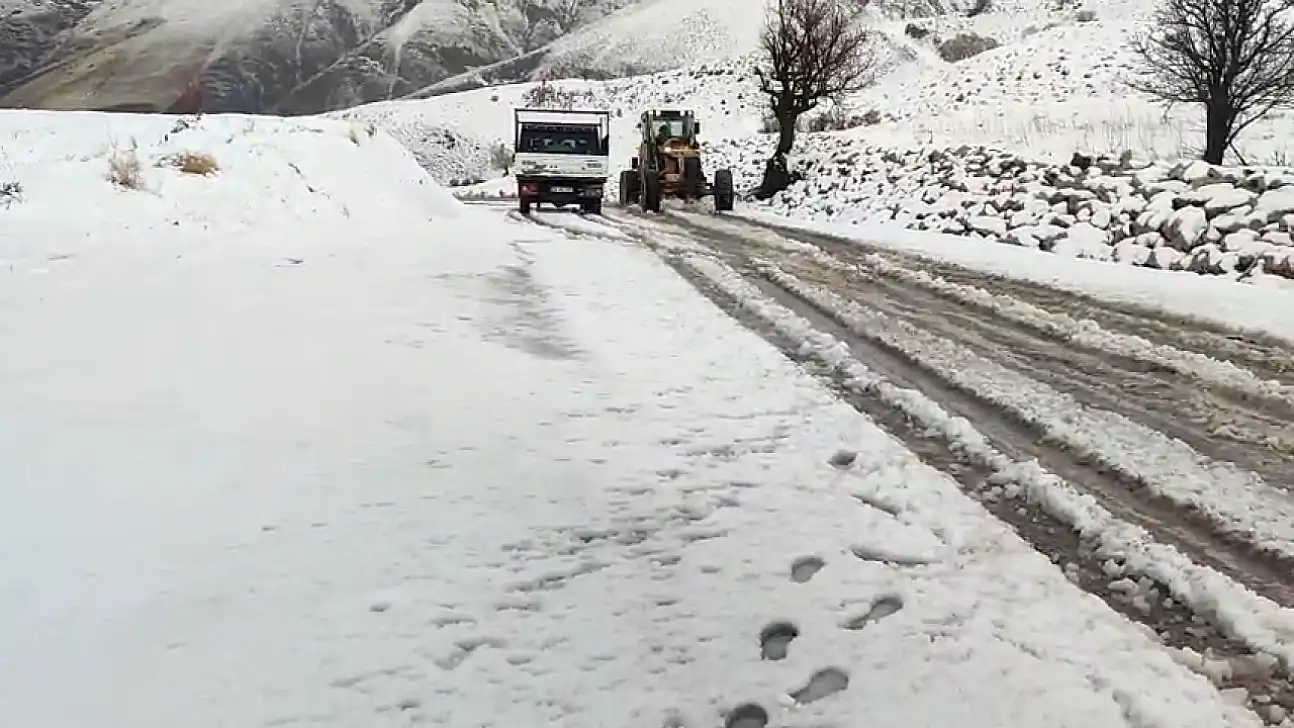 Siirt'te Mevsimin İlk Karı Etkili Oldu: Araçlar Yolda Mahsur Kaldı