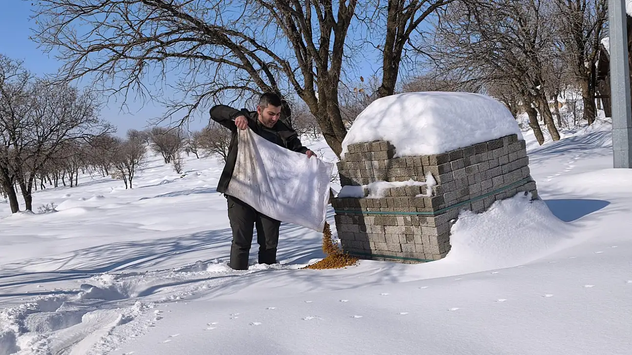 Siirt'te yaban hayvanları için kış şartlarında yem ve mama desteği