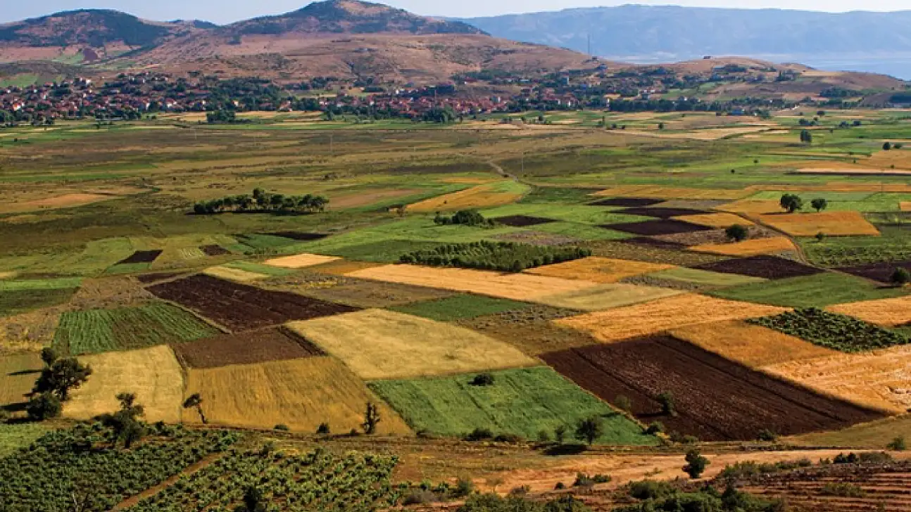 TCDD, Siirt Kurtalan'da 26 bin metrekarelik tarım arazisini kiraya çıkarıyor