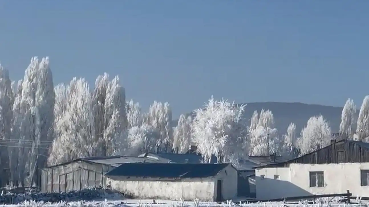 Türkiye buz kesti: En soğuk noktası Bitlis'te ölçüldü