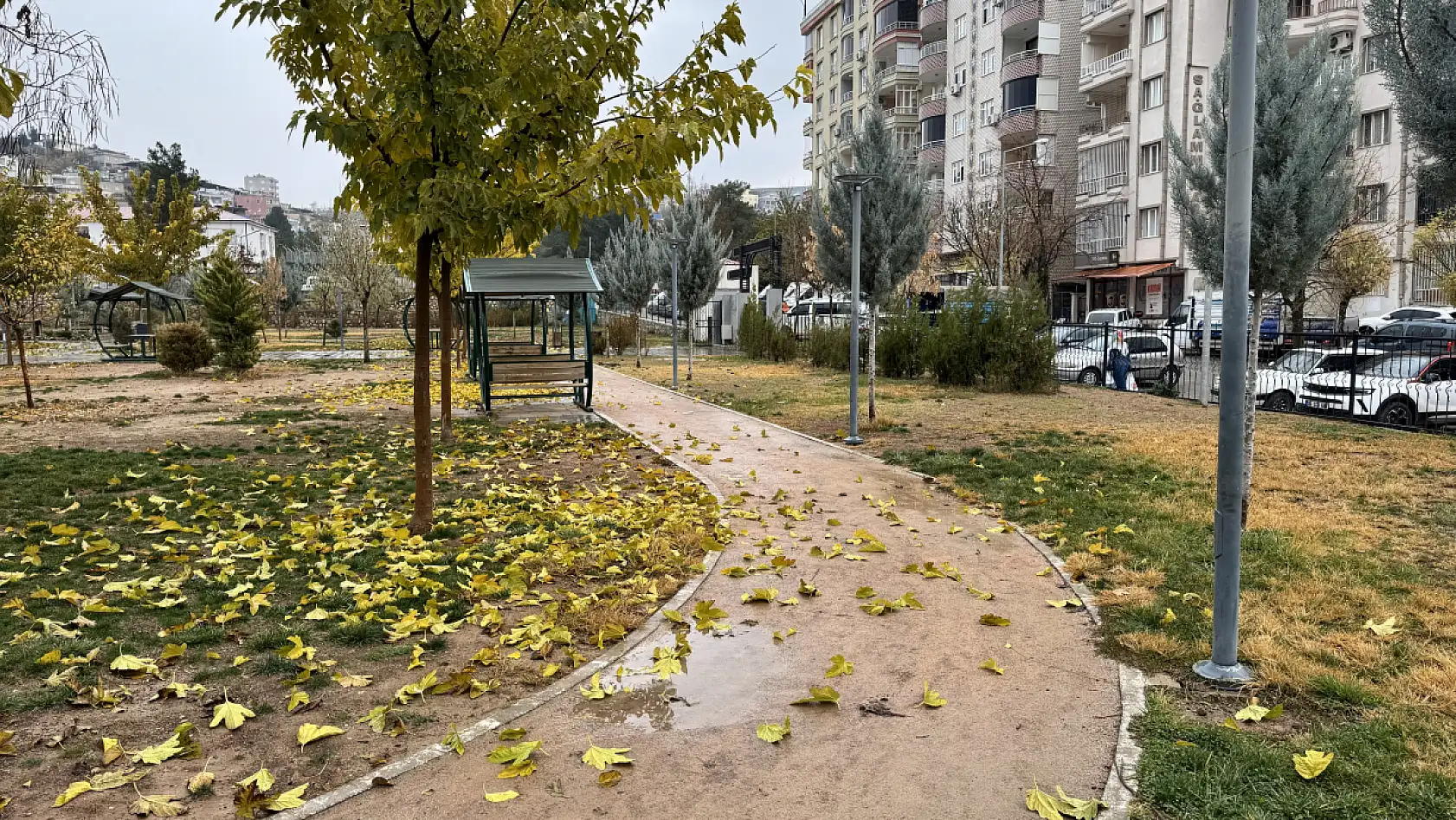 Siirt Millet Bahçesi'nde mevsim geçişi objektife yansıdı