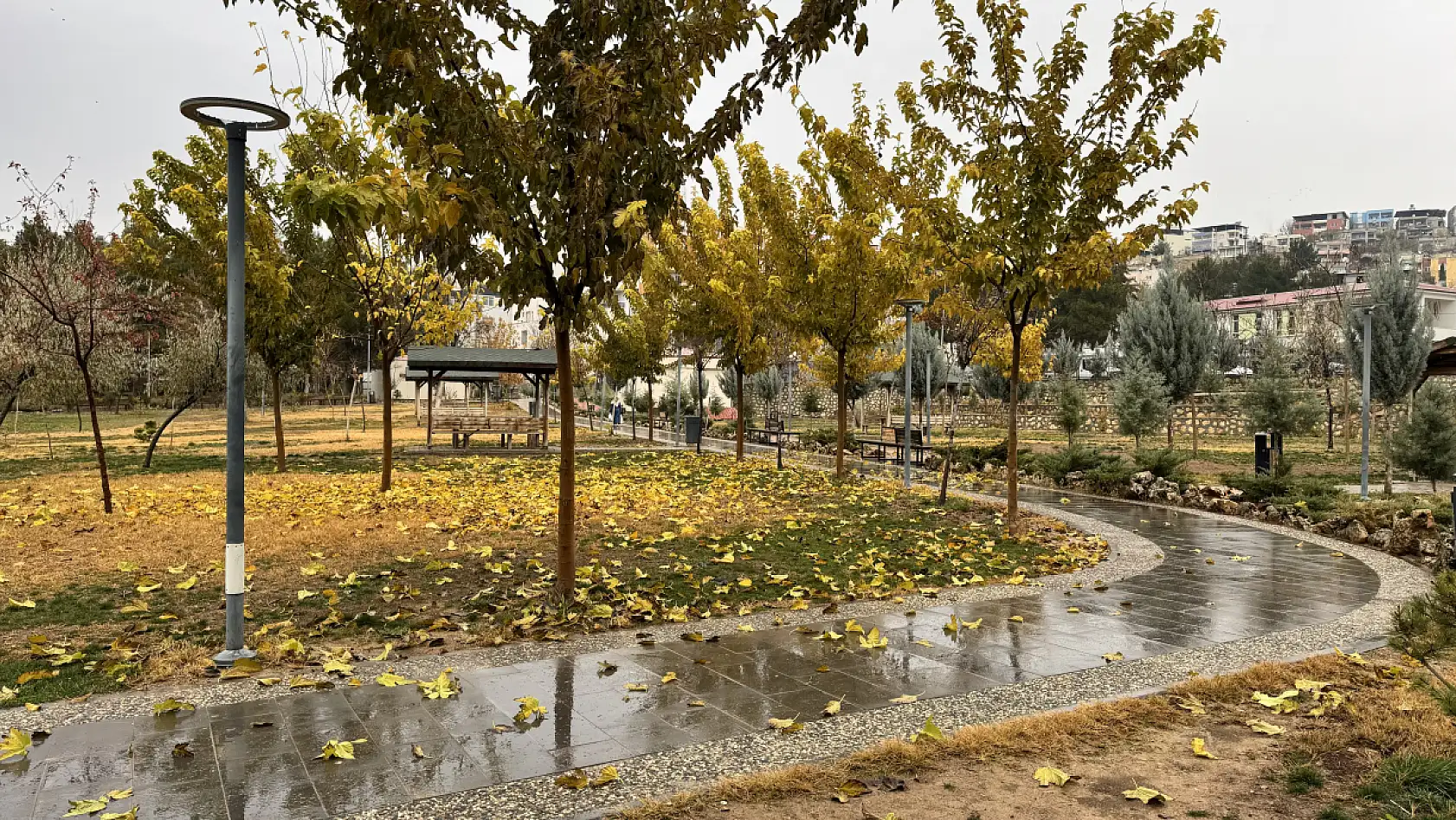 Siirt Millet Bahçesi'nde mevsim geçişi objektife yansıdı