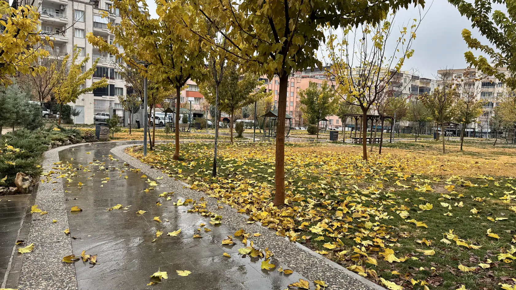 Siirt Millet Bahçesi'nde mevsim geçişi objektife yansıdı
