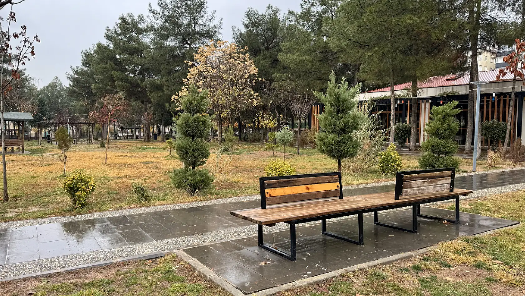 Siirt Millet Bahçesi'nde mevsim geçişi objektife yansıdı