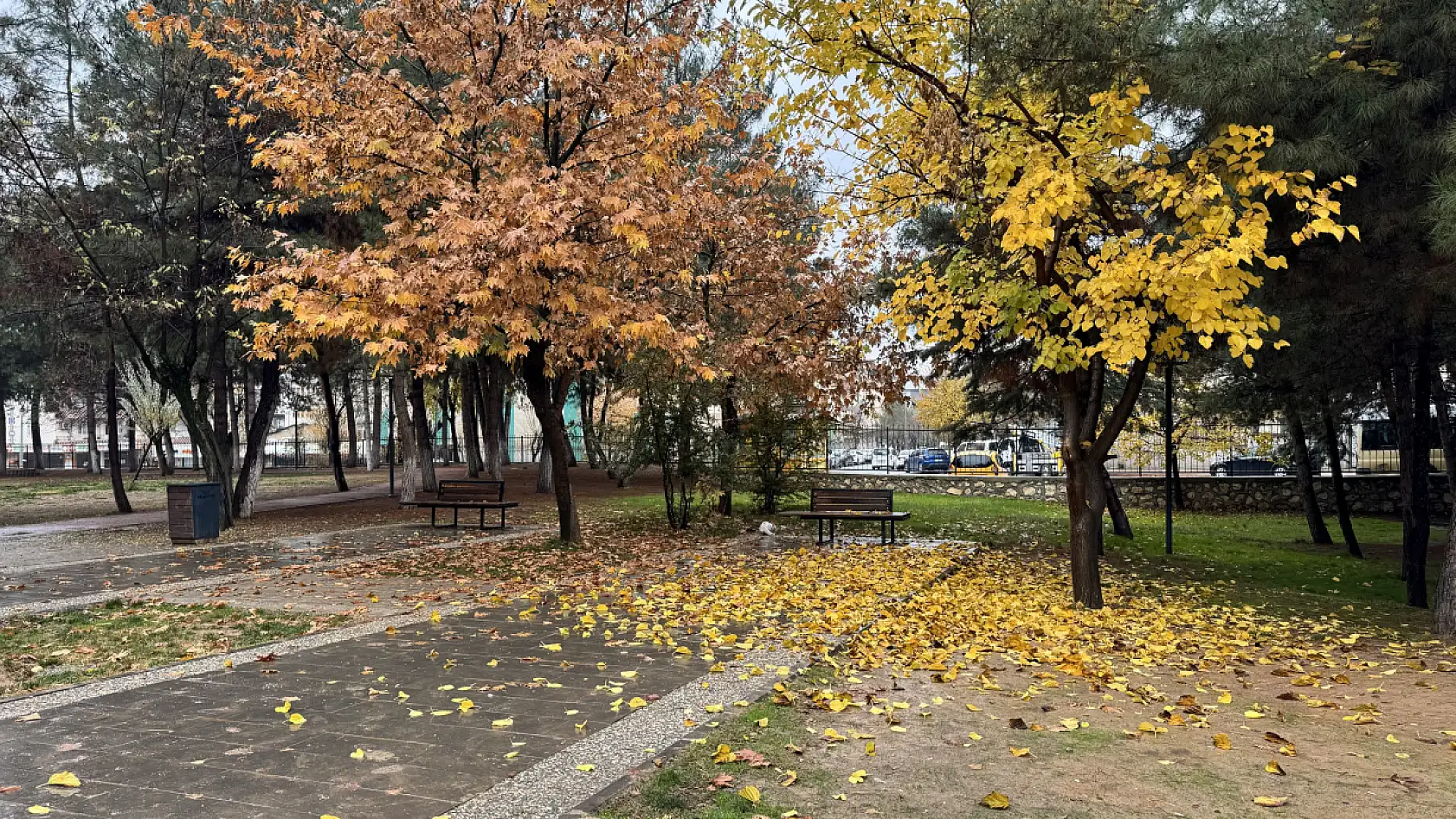 Siirt Millet Bahçesi'nde mevsim geçişi objektife yansıdı