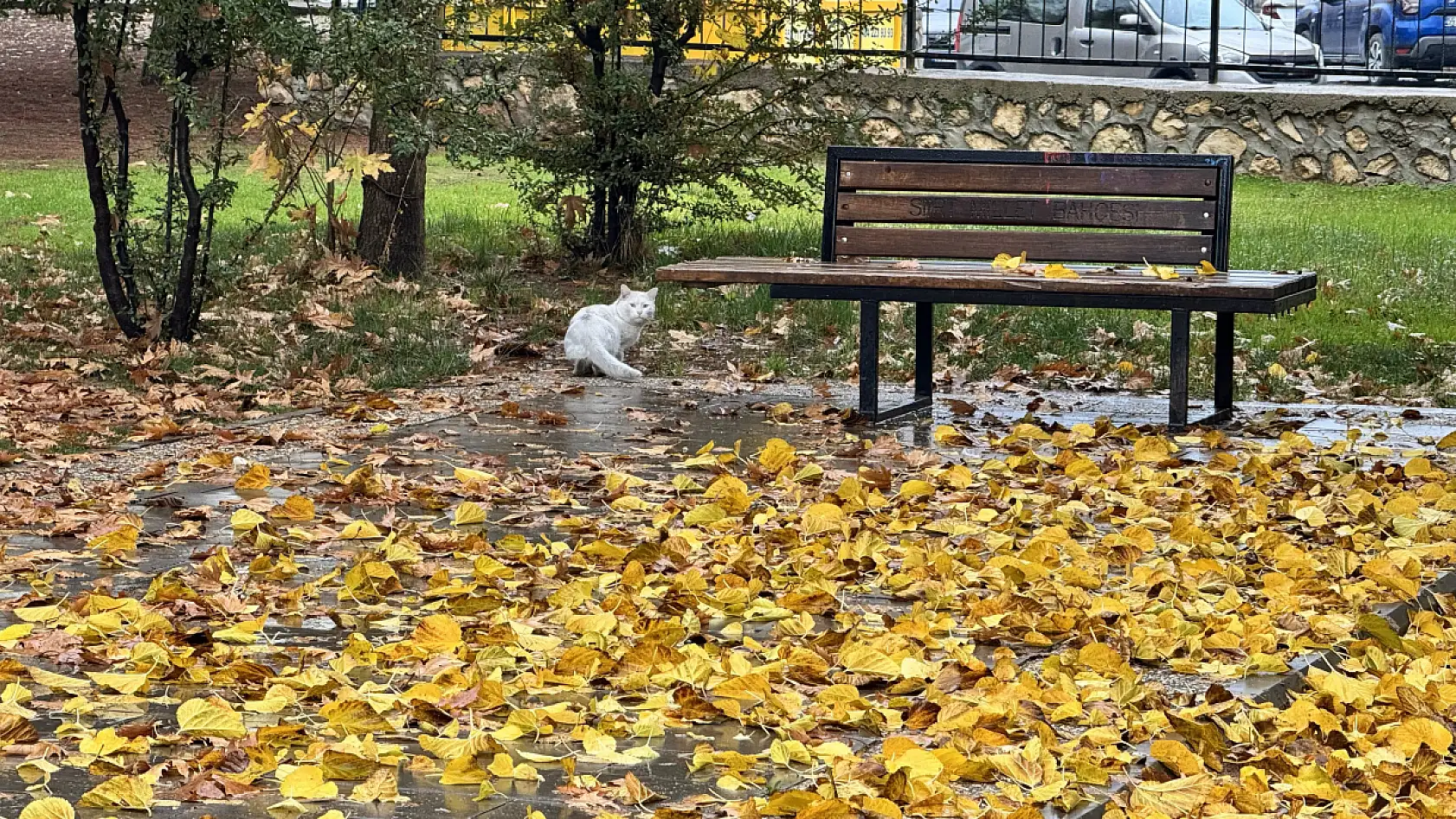 Siirt Millet Bahçesi'nde mevsim geçişi objektife yansıdı