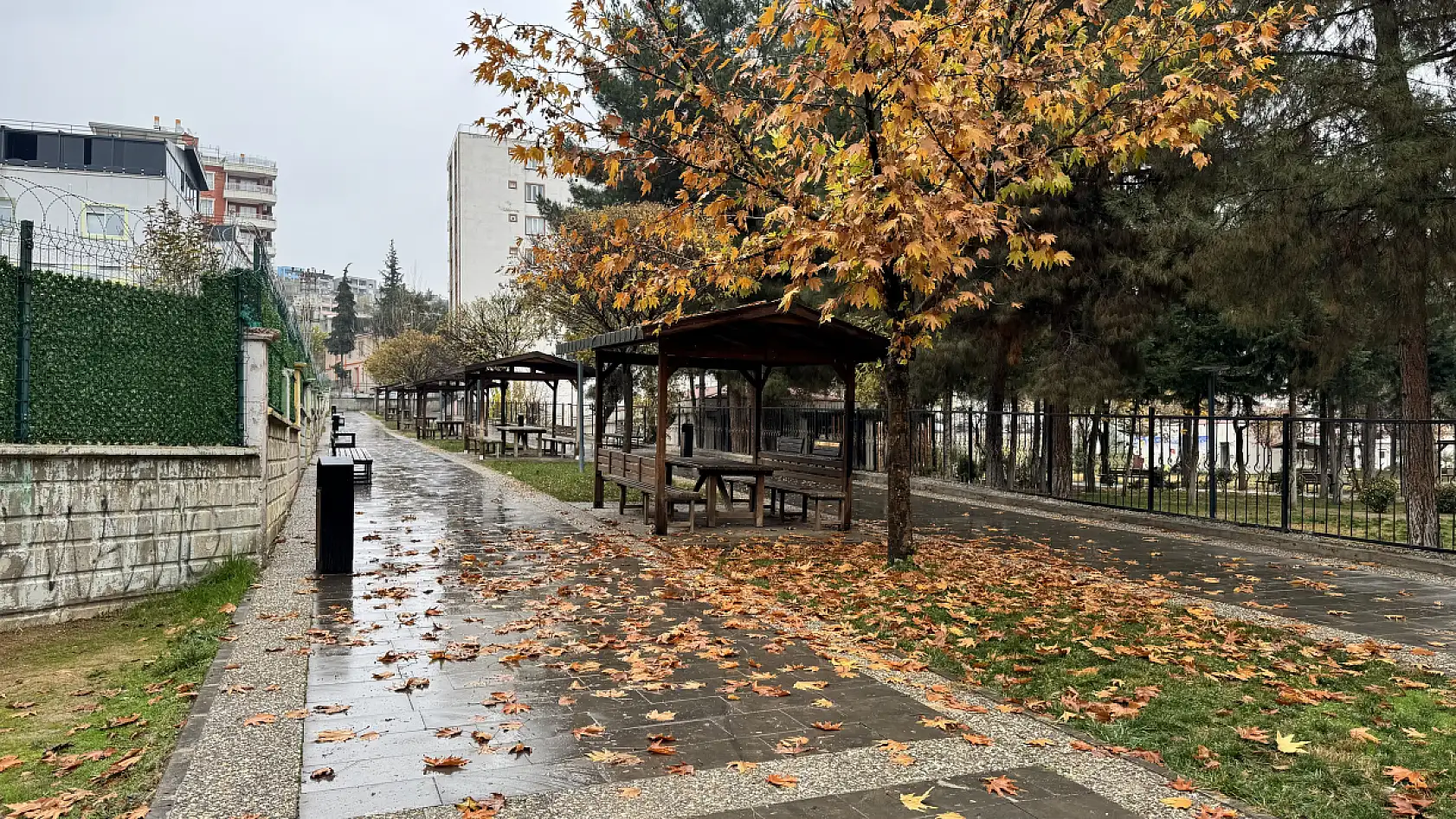 Siirt Millet Bahçesi'nde mevsim geçişi objektife yansıdı