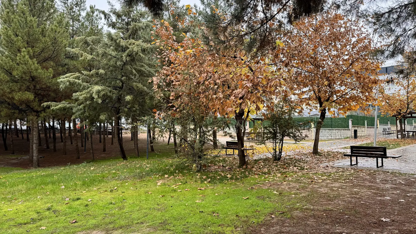 Siirt Millet Bahçesi'nde mevsim geçişi objektife yansıdı